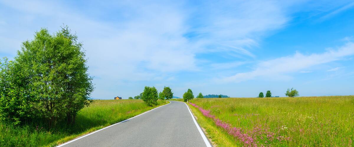 A rural road flanked by green fields and trees under a clear blue sky.