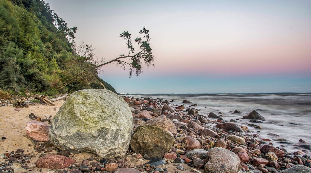 This is a photography of protected area with CRFOP ID