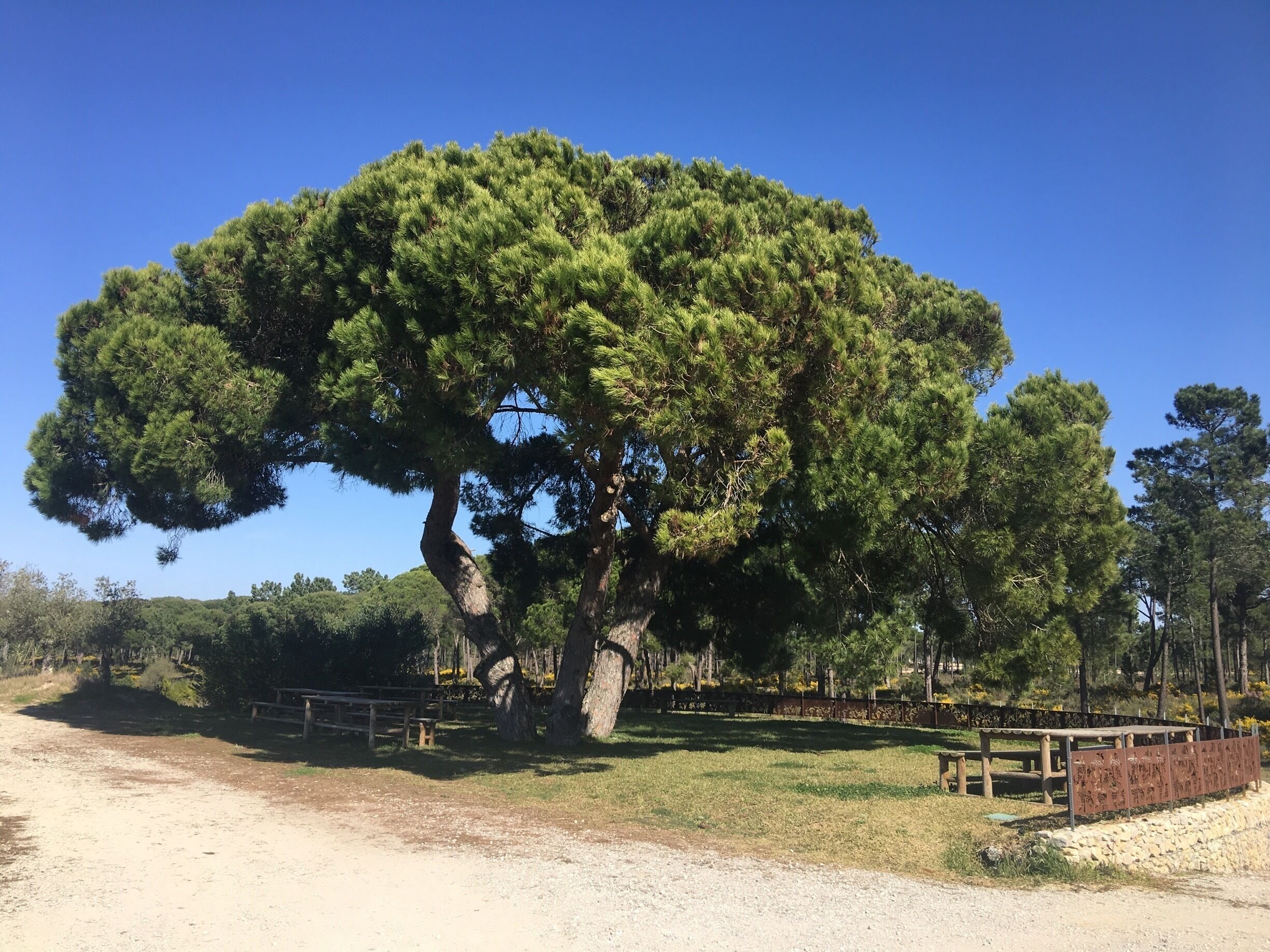 Winery - great tour and wines 