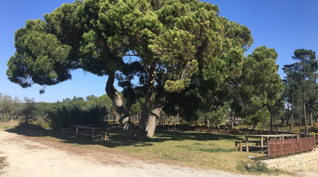 Winery - great tour and wines