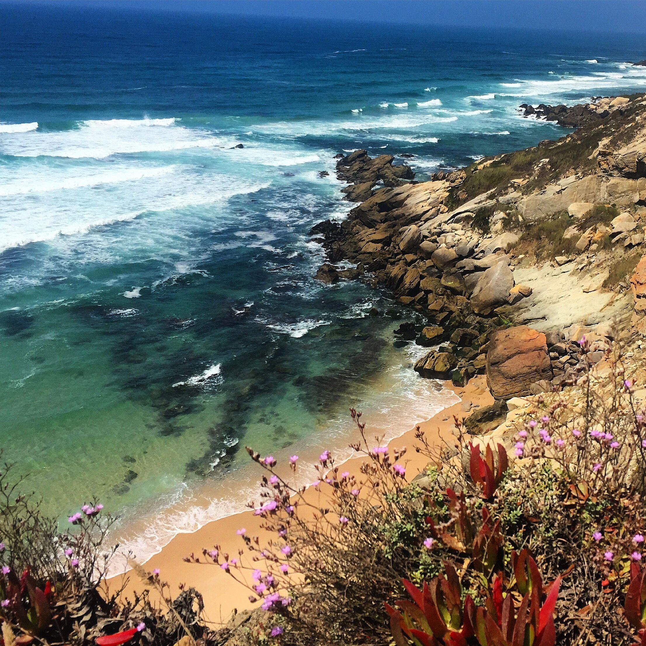 Speaks for itself. #green