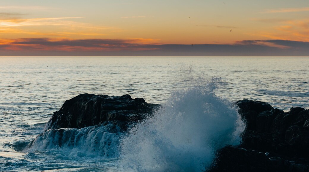 Waves of the Atlantic Ocean during sunset, beautiful strong waves with splashes near rocky beach, banner size
