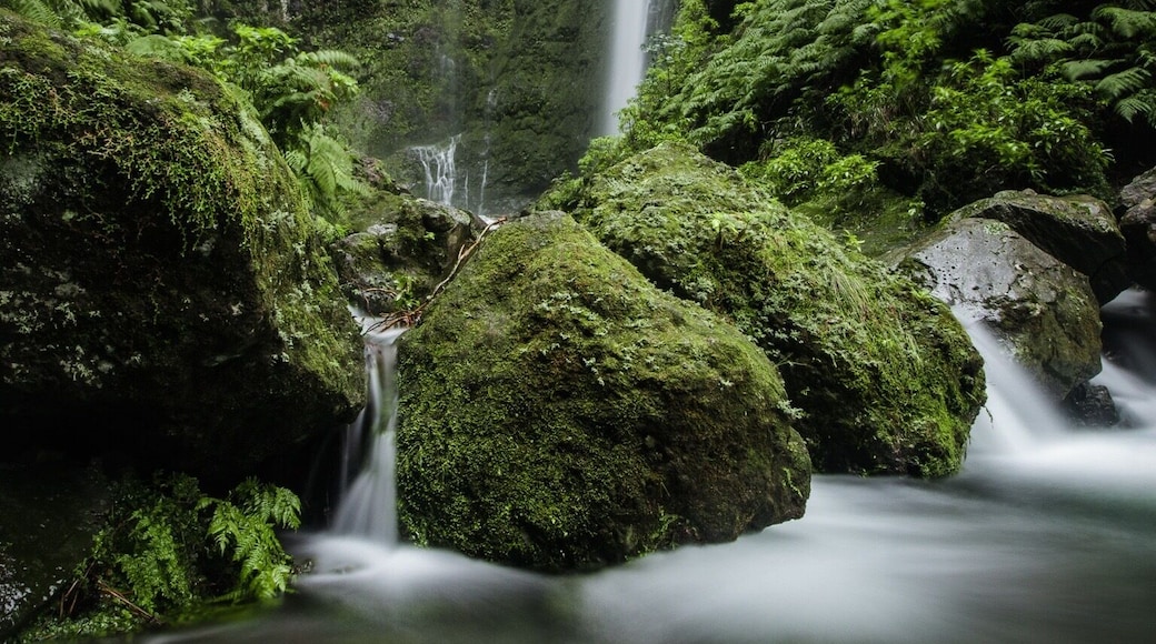 Levada do Caldeirão Verde for #BvS100K