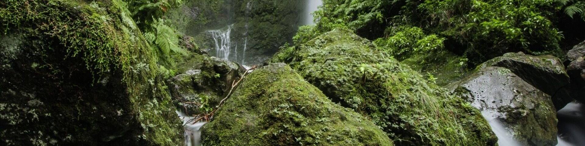 Levada do Caldeirão Verde for #BvS100K