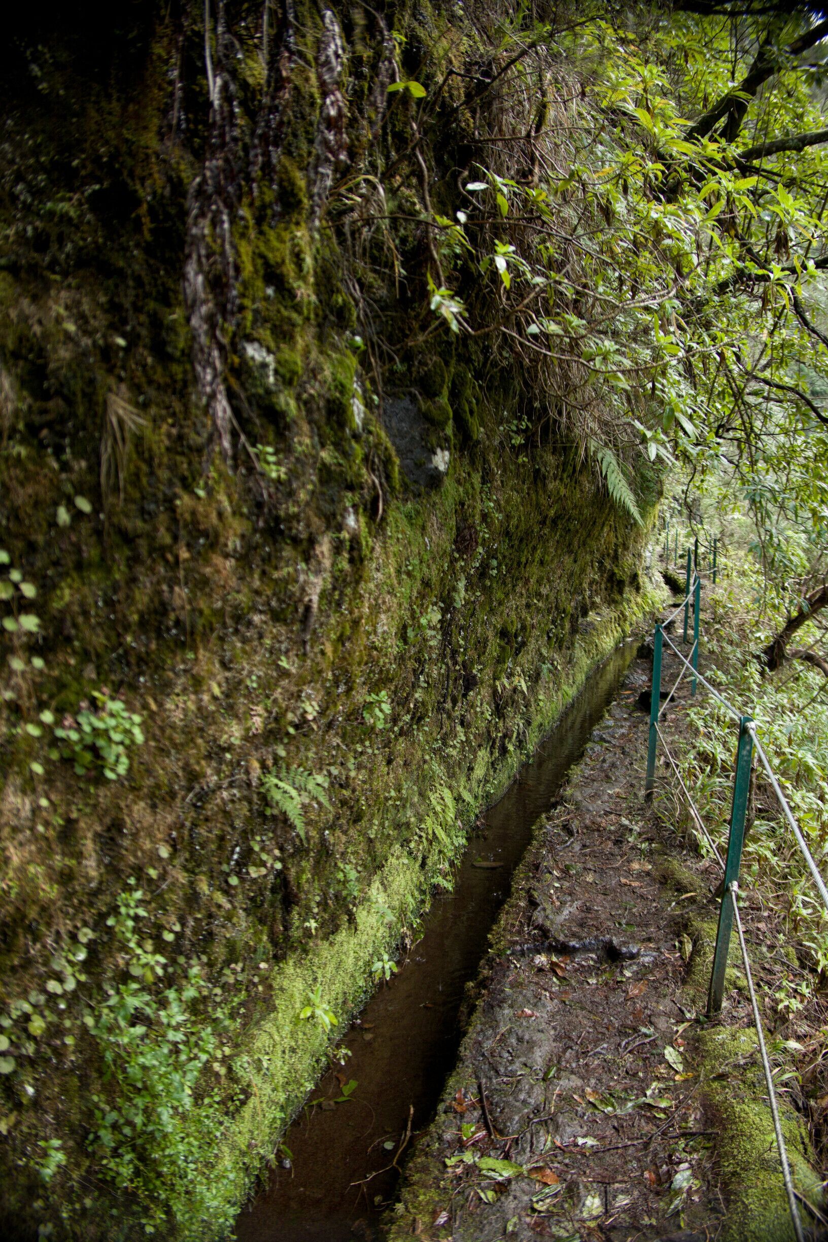 Let's follow the water flowing through Madeira along the intense green vegetation decorating the levadas of the Gorges of Inferno #River #Green #LifeAtExpedia