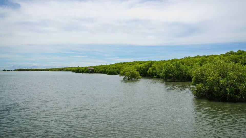 A calm river with dense green vegetation on the banks and a small structure on the left.
