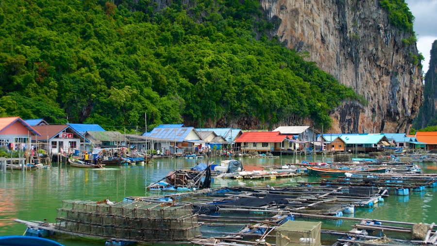Phang Nga featuring a coastal town, a bay or harbour and general coastal views