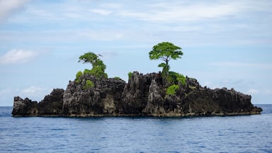 One, very small example, of the thousands of islands that make up the Indonesian archipelago that is collectively known as Raja Ampat. These predominantly limestone islands are often covered in dense green jungle and surrounded by diverse marine life and pristine coral reefs.
#LifeAtExpedia