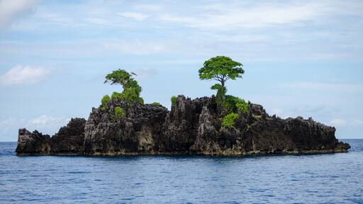 One, very small example, of the thousands of islands that make up the Indonesian archipelago that is collectively known as Raja Ampat. These predominantly limestone islands are often covered in dense green jungle and surrounded by diverse marine life and pristine coral reefs.
#LifeAtExpedia