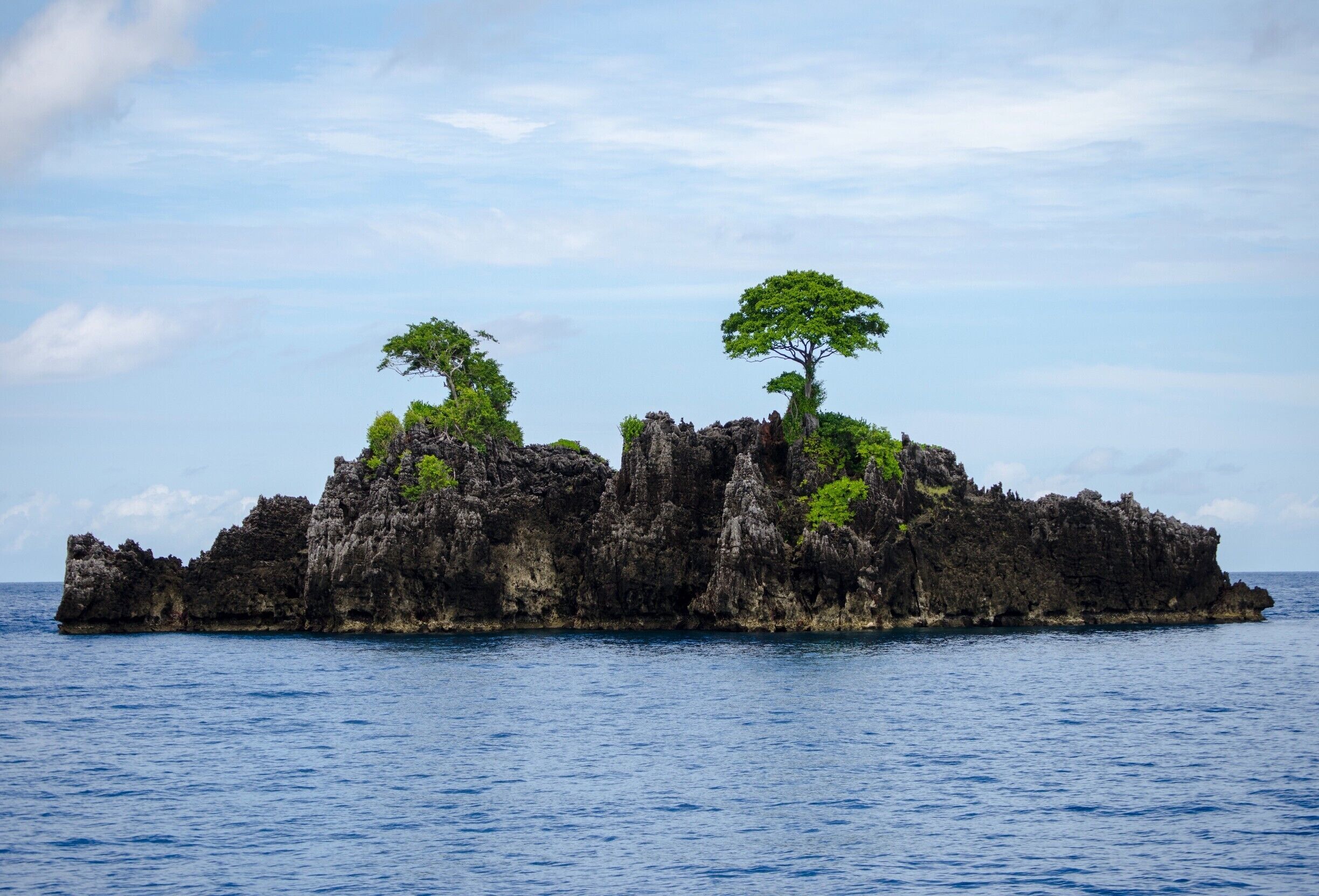 A rocky island with two prominent trees surrounded by clear blue water.