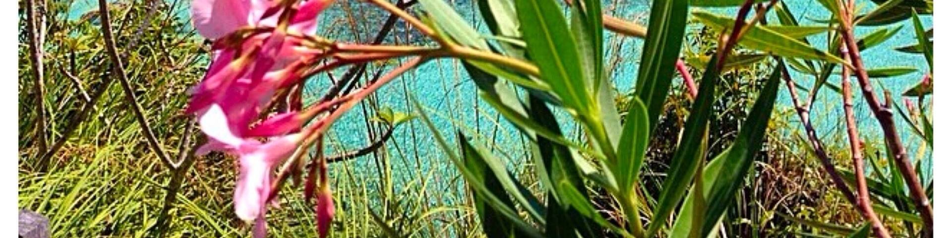 Misool Eco Resort. Luxury Resort at Misool Raja Ampat Papua Indonesia 🌺