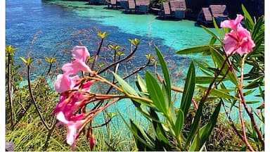 A tropical island with clear turquoise waters, overwater bungalows, and pink flowers in the foreground.