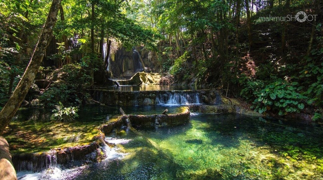 Moyo Island is one of the favorite island Lady Diana that she had visited