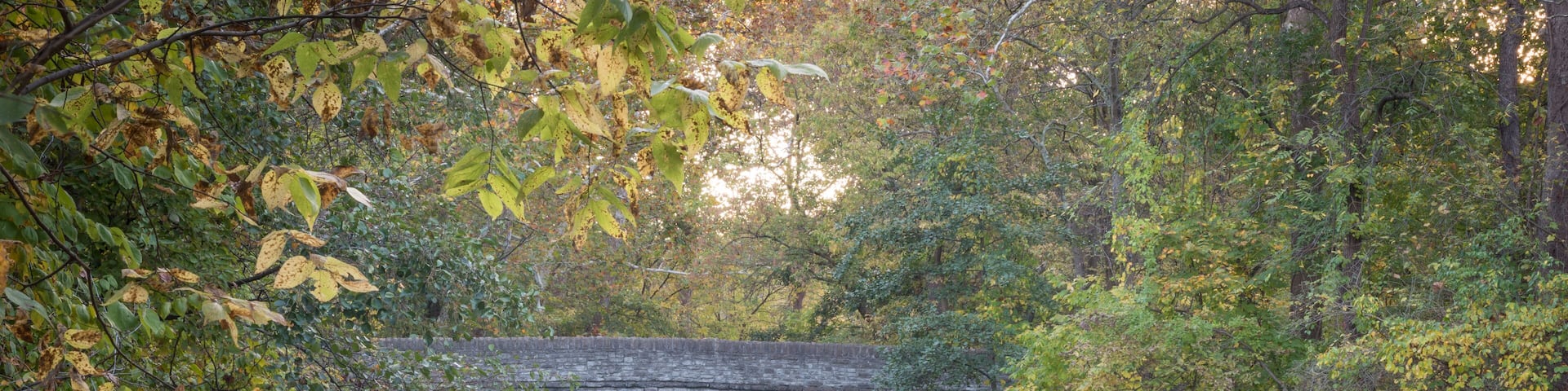 waterfall at sharon woods park cincinnati ohio