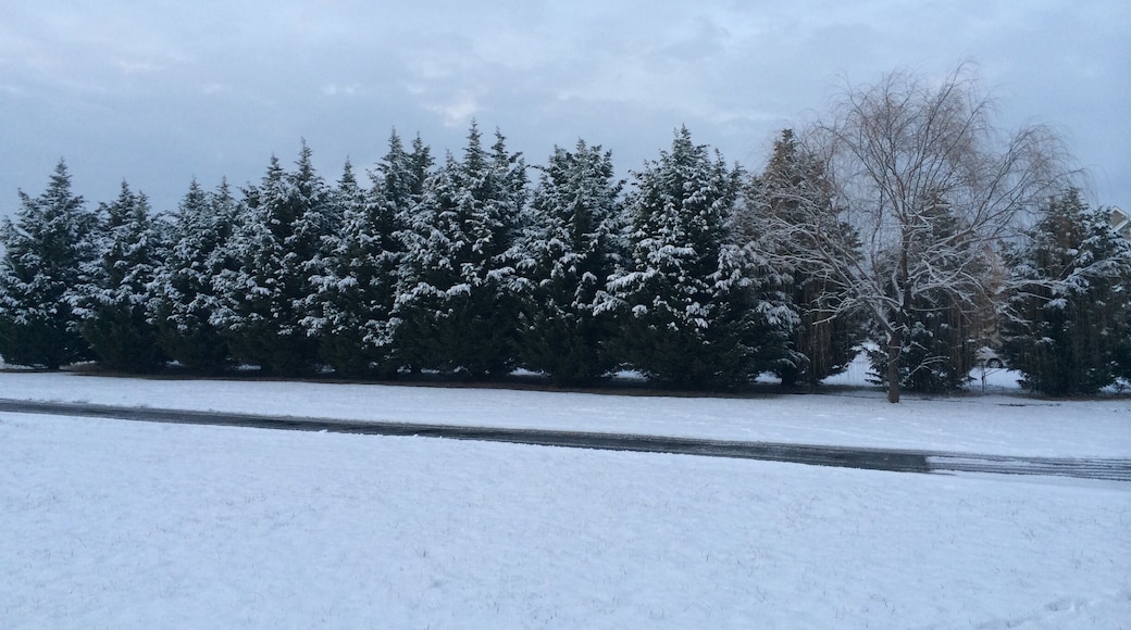 #snow #snowphotocontest