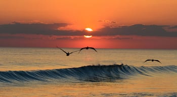 Sunset, Panama City Beach Florida