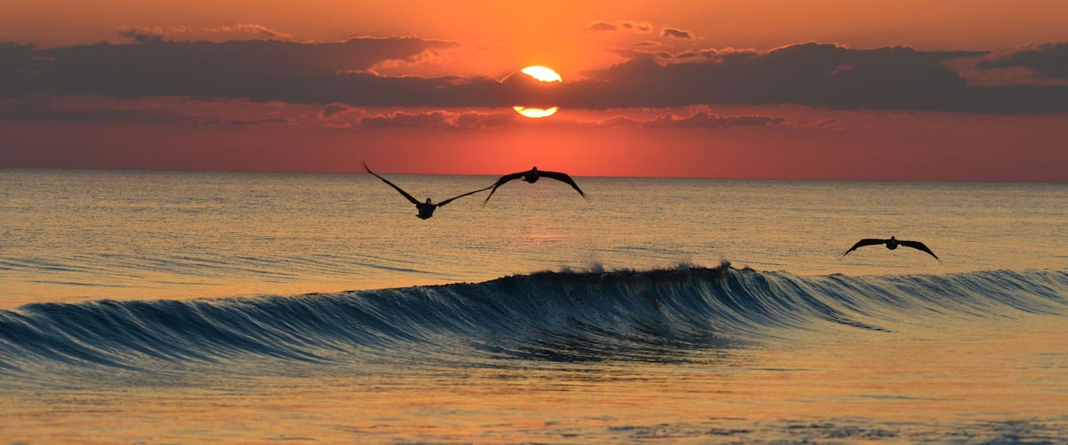 A sunset over the ocean with waves and birds flying.