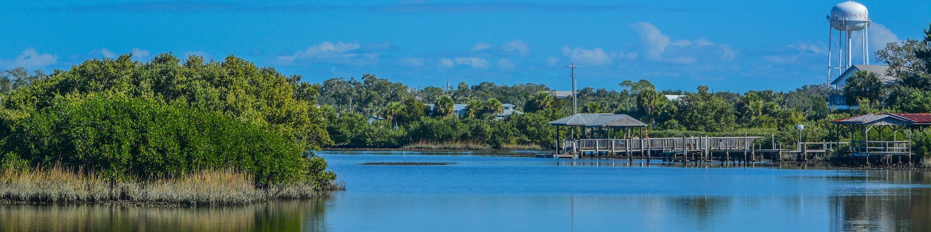 A calm lake with a dock, a water tower, and dense greenery.