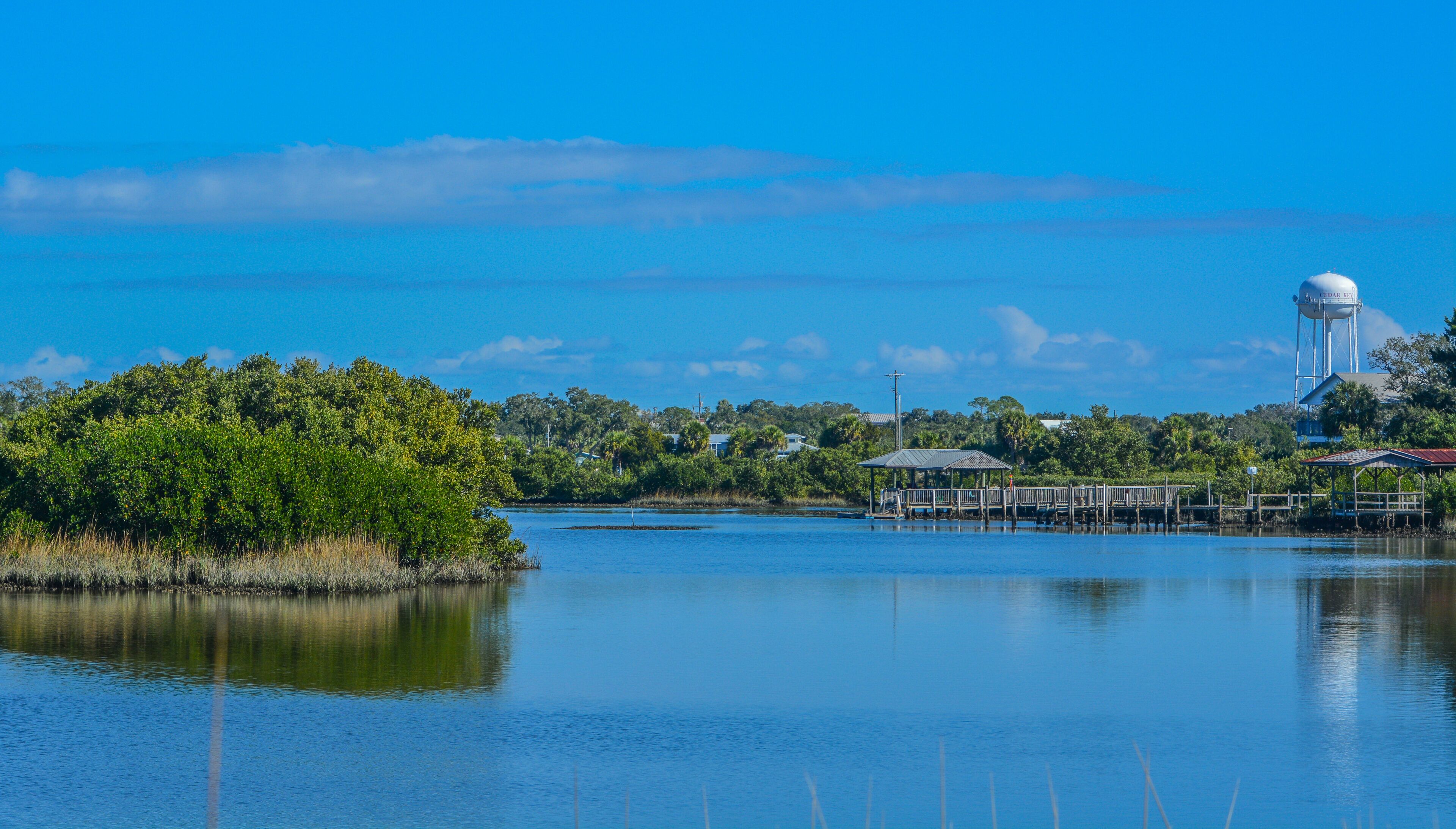 A calm lake with a dock, a water tower, and dense greenery.
