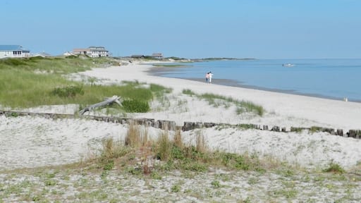This Eastern NC town is where you can take the ferry to the Outer Banks. Ocracoke Island is 2 hours away and then you can take another ferry to Cape Hatteras which has beautiful beaches.
