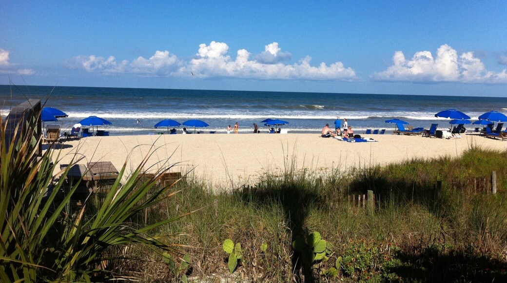 Ponte Vedra Beach.