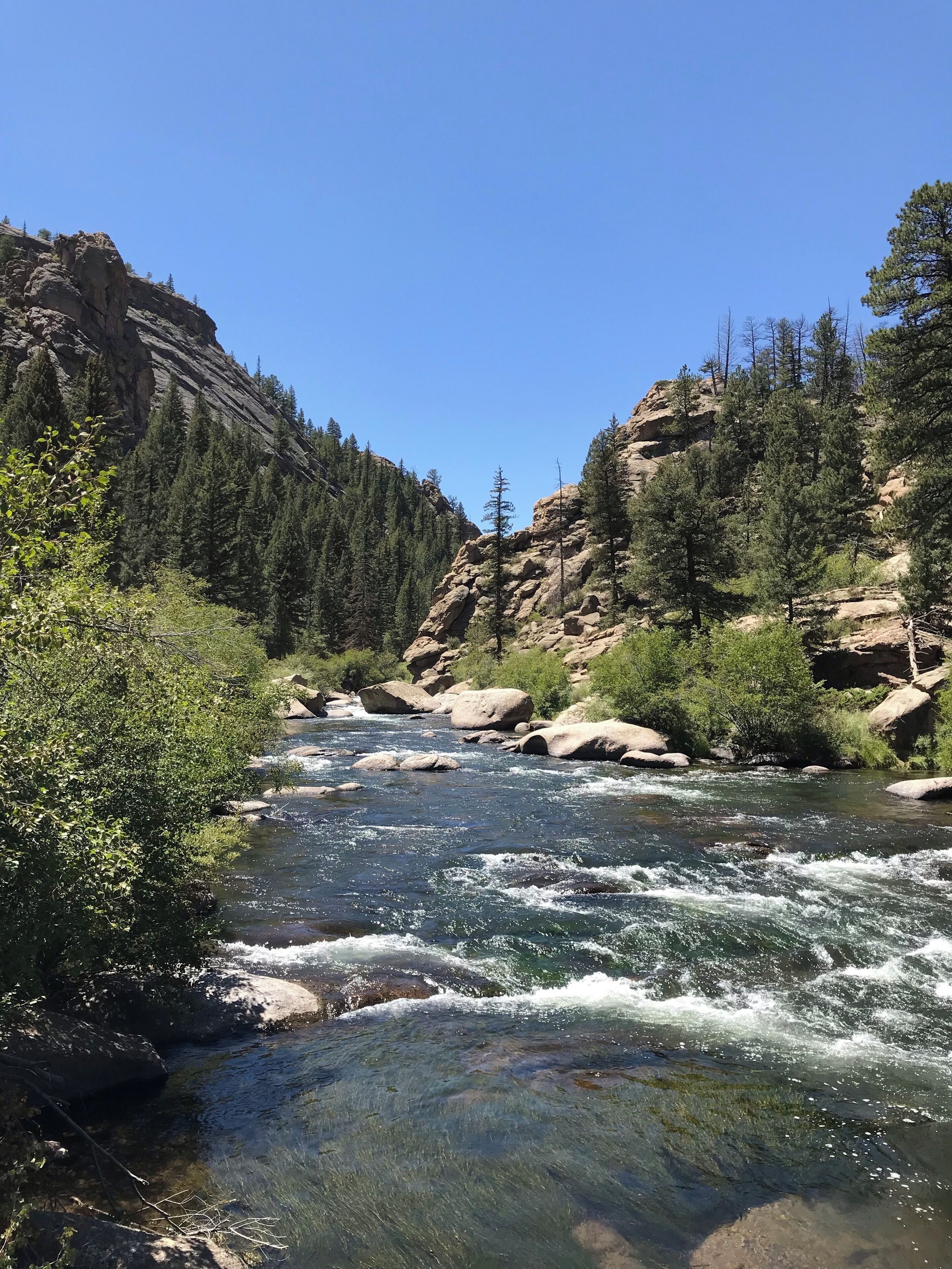 Beautiful river, great catch and release trout fishing