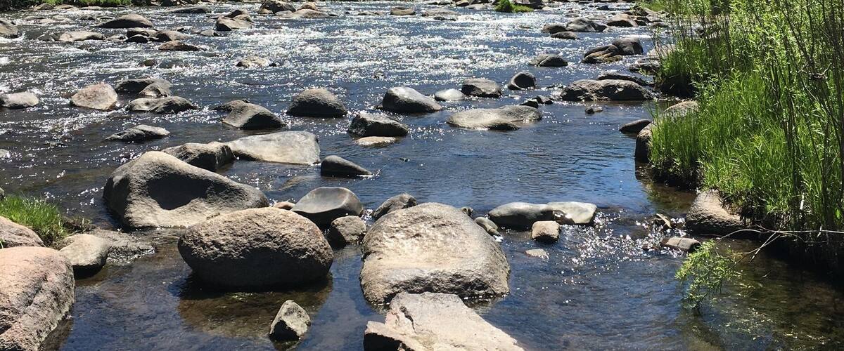 the most perfect, shallow, lazy river in Lake George, CO :: I borrowed a tube and floated for miles and splashed for hours with my dogs :: it was a perfect afternoon
#aquatrove #lakegeorge #colorado #rockymountains