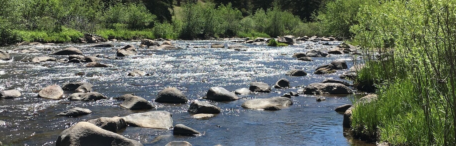 the most perfect, shallow, lazy river in Lake George, CO :: I borrowed a tube and floated for miles and splashed for hours with my dogs :: it was a perfect afternoon
#aquatrove #lakegeorge #colorado #rockymountains