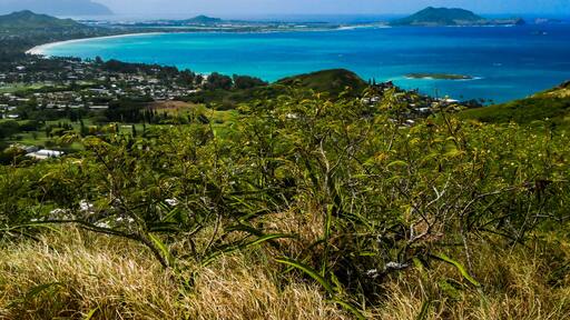 Kailua Blues (Oahu, Hawai'i)