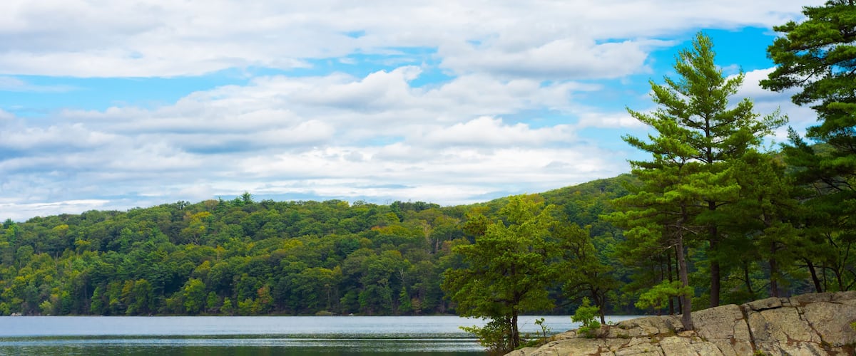 Quiet forest lake