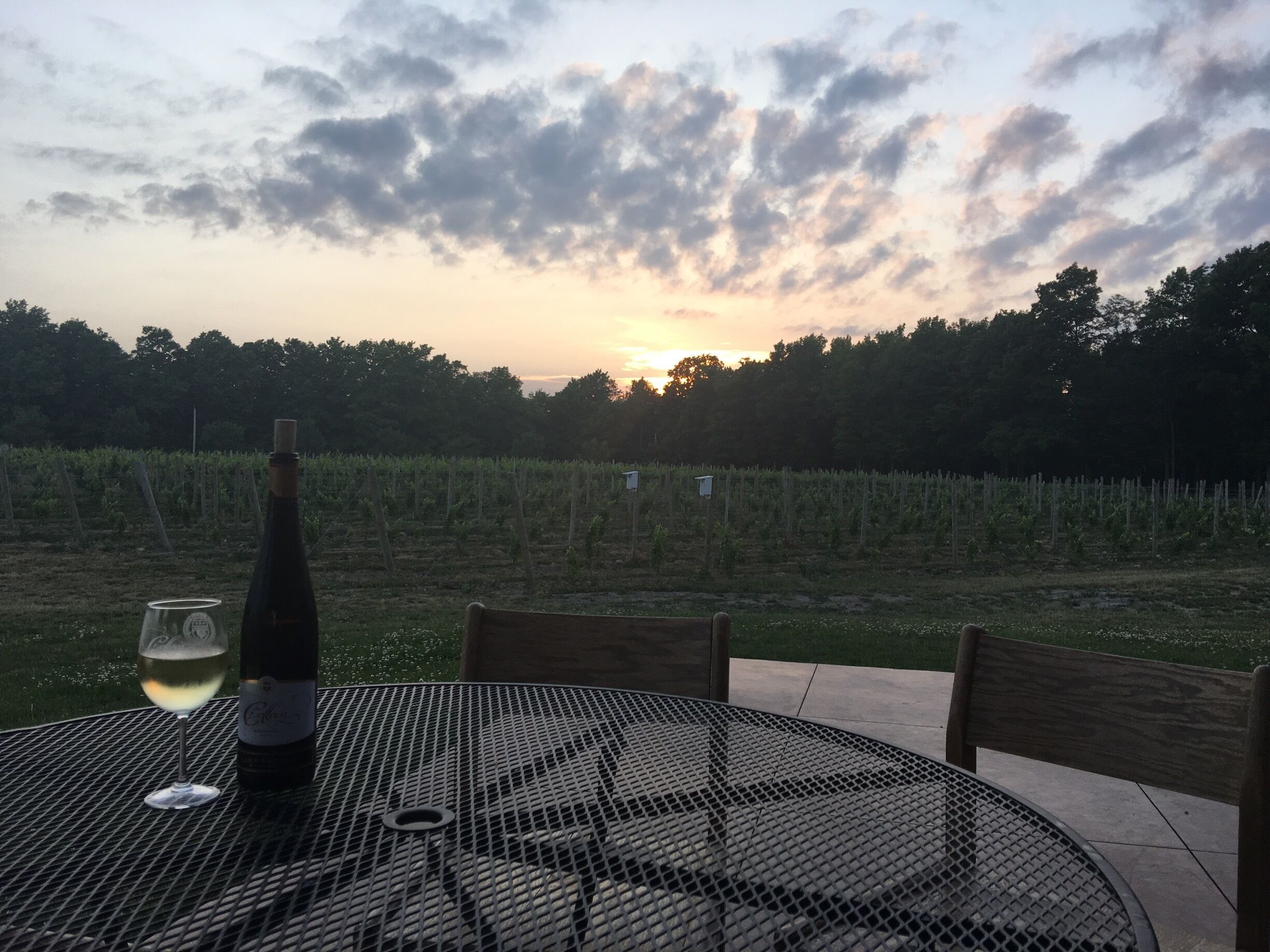 One of the many beautiful vineyards we toured in the finger lakes. At Colloca they serve one of the most amazing hand tossed, wood fired brick oven pizzas I've ever had! 
