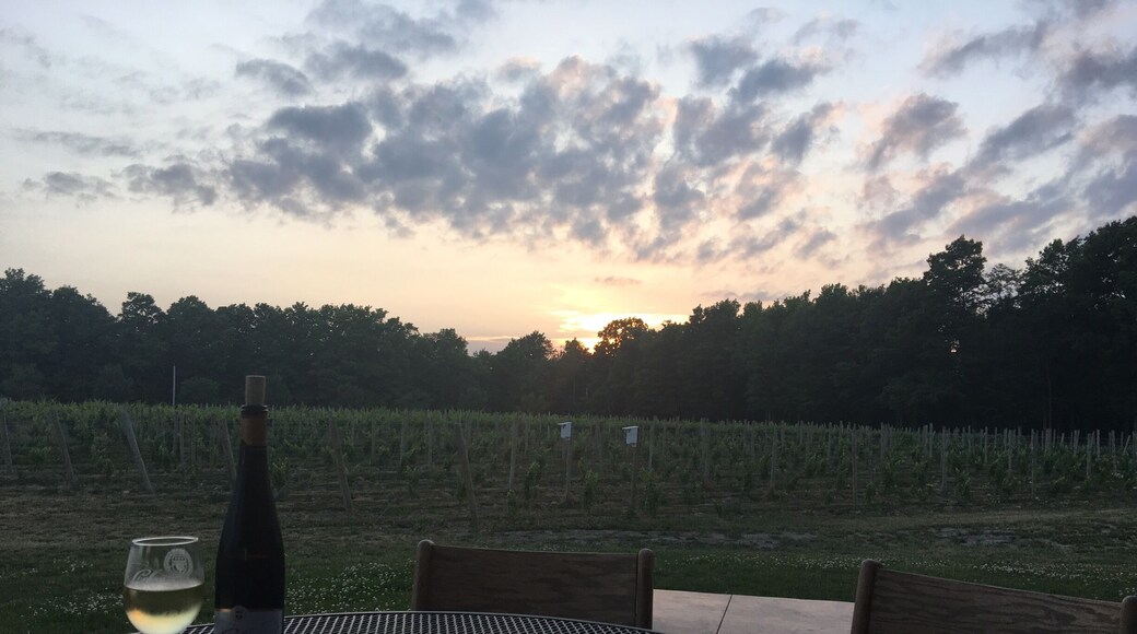 One of the many beautiful vineyards we toured in the finger lakes. At Colloca they serve one of the most amazing hand tossed, wood fired brick oven pizzas I've ever had!