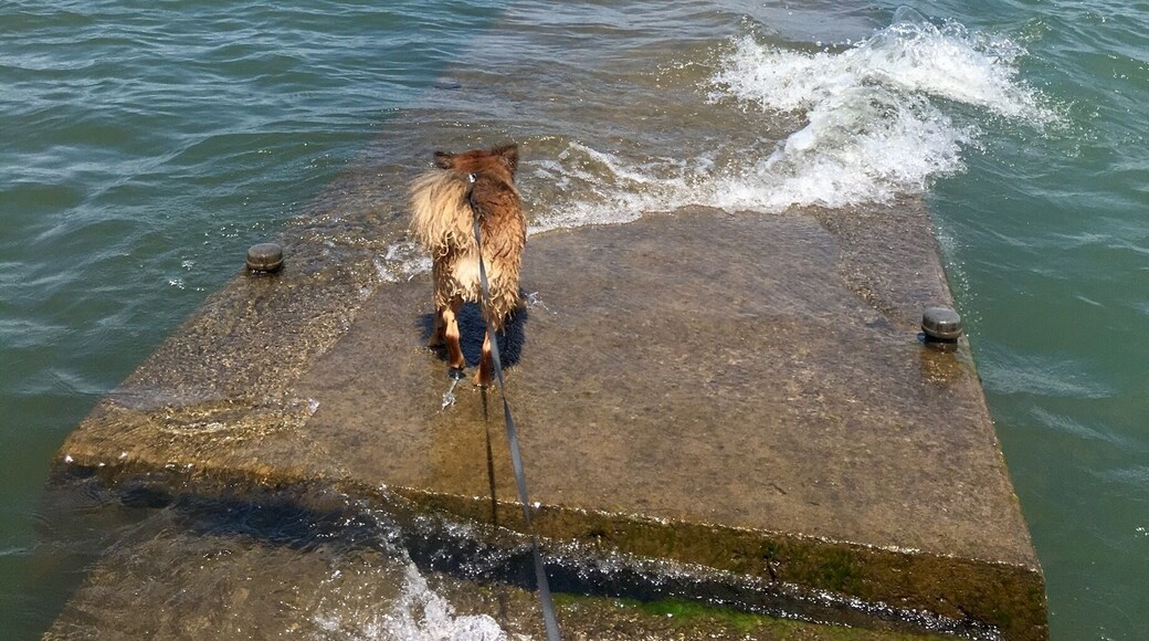 Hike along the ever rising Lake Ontario #takeahike