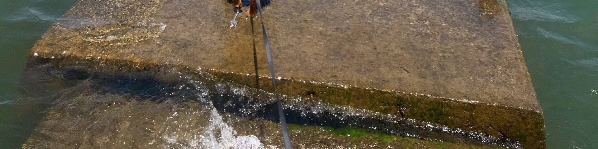 Hike along the ever rising Lake Ontario #takeahike