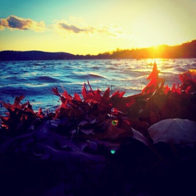 sunset at Lake Mohawk