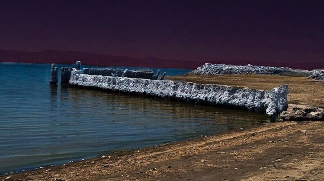 Bombay Beach ruins. Once a famous resort, now a beach made of bones!