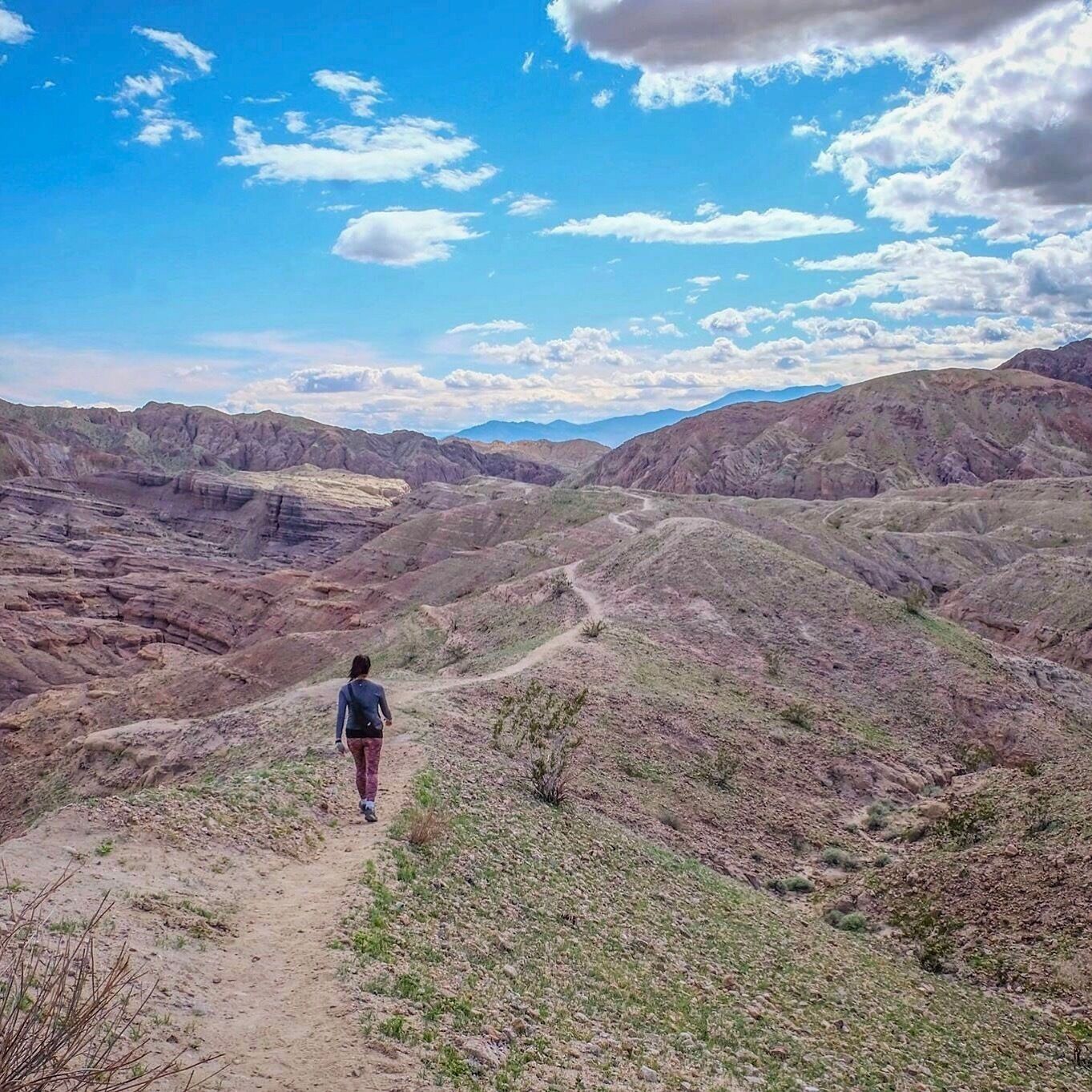 This #hike was amazing! A 5.3 mile loop with beautiful scenery, canyon walls, rope climbing and ladders! 