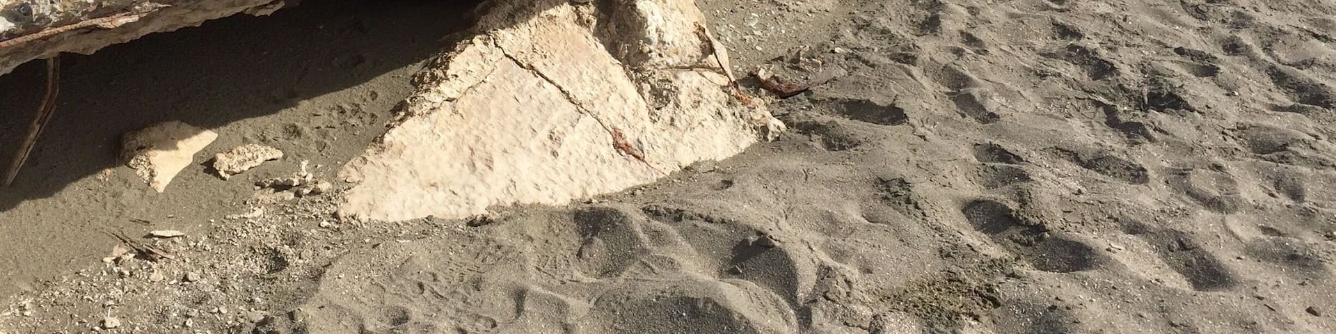Bombay beach, Salton Sea
Bombay Beach used to be a thriving tourist trap in Southern California. Now it is a reminder of just how much pollution can impact the environment. There are interesting ruins of former buildings and attractions on this area. Worth a stop if you’re in this neck of the woods. #StateParks #SaltonSea #Disaster #EnvironmentalDisaster #BombayBeach