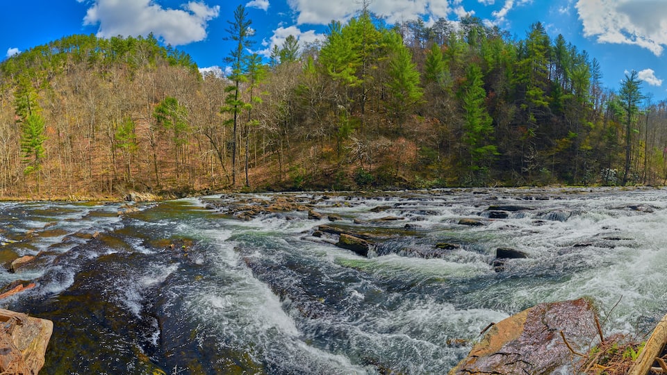 A river with fast-moving water, surrounded by a forest of evergreen trees and a mountainous backdrop.