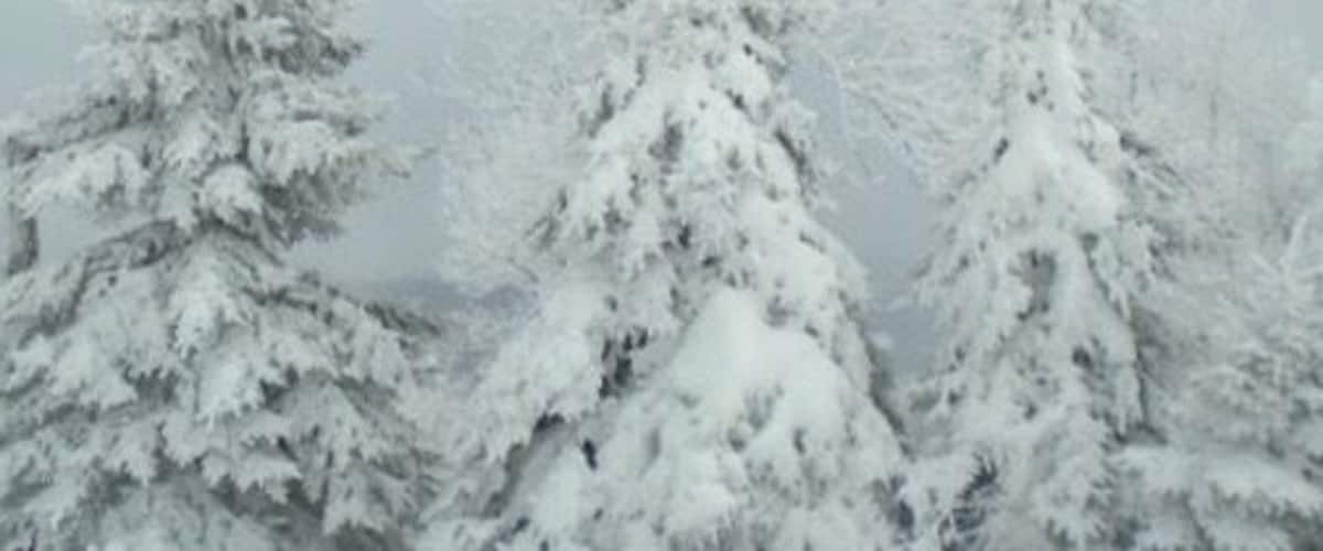 Snow!