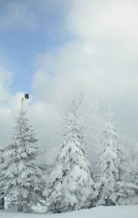 Snow!