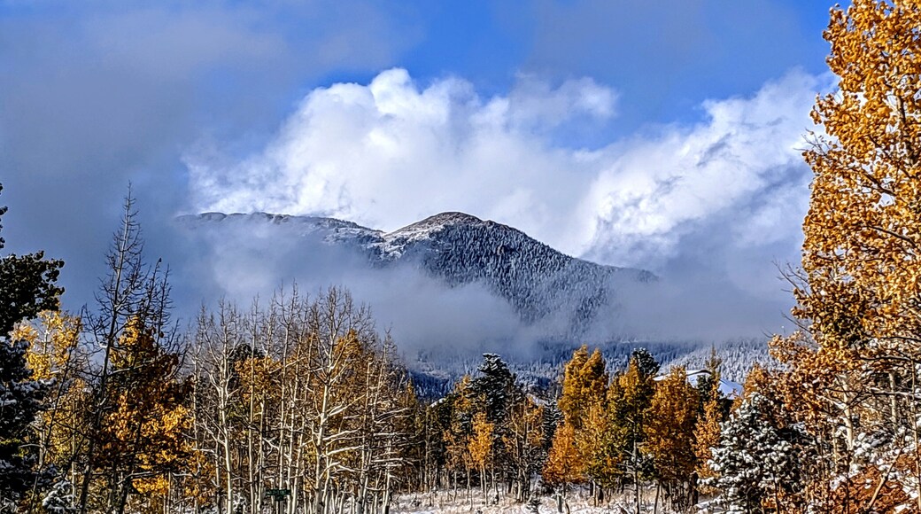 ||The Neighborhood||
âą
#MyBackyard #Home #HomeSweetHome #Colorado #Landscape