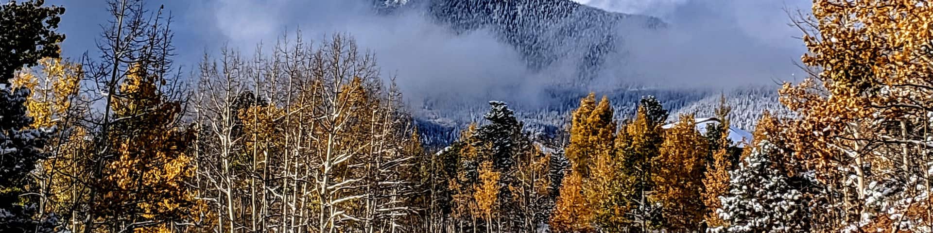 ||The Neighborhood||
•
#MyBackyard #Home #HomeSweetHome #Colorado #Landscape
