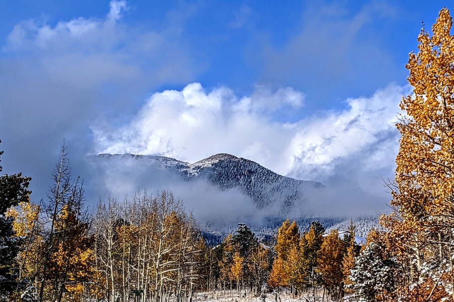 ||The Neighborhood||
•
#MyBackyard #Home #HomeSweetHome #Colorado #Landscape