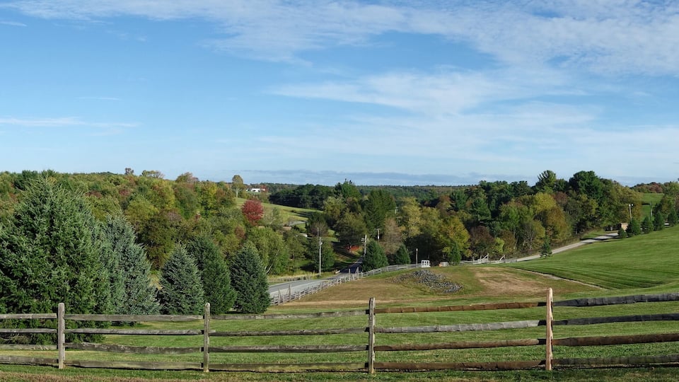 A rural landscape with a wooden fence, a road, and a variety of trees including conifers and deciduous trees.