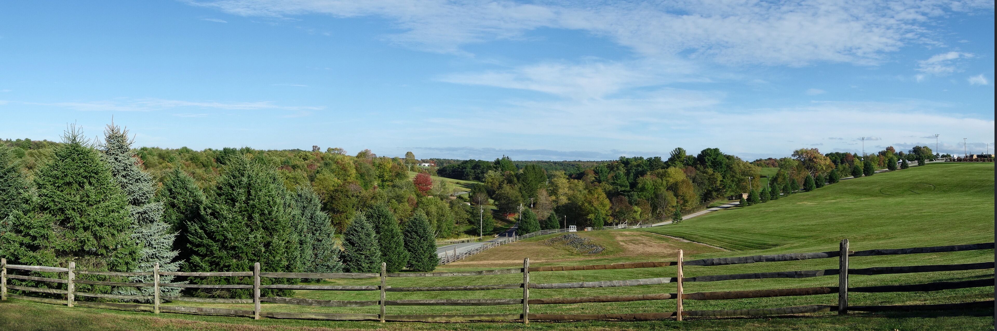 A rural landscape with a wooden fence, a road, and a variety of trees including conifers and deciduous trees.