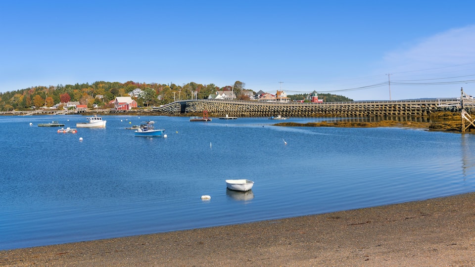 A calm harbor with several boats, a wooden pier, and a backdrop of houses and trees.