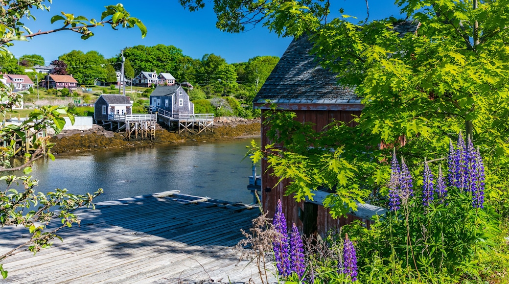 ハープスウェル