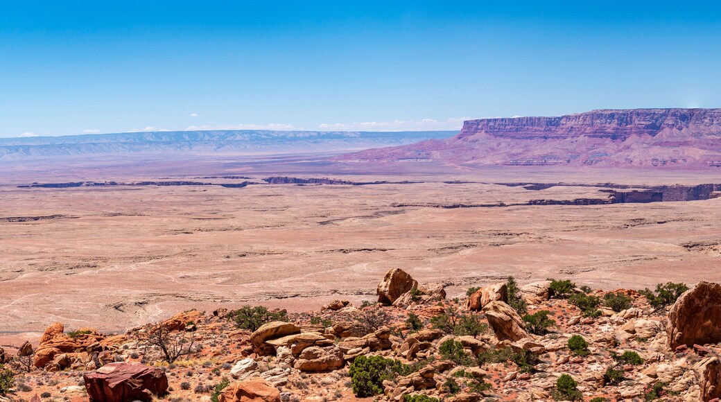 bitter springs grand Canyon panorama landscape with the grand canyon on a sunny day, arizona