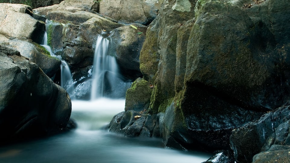 A waterfall flowing over rocks in a forested area.